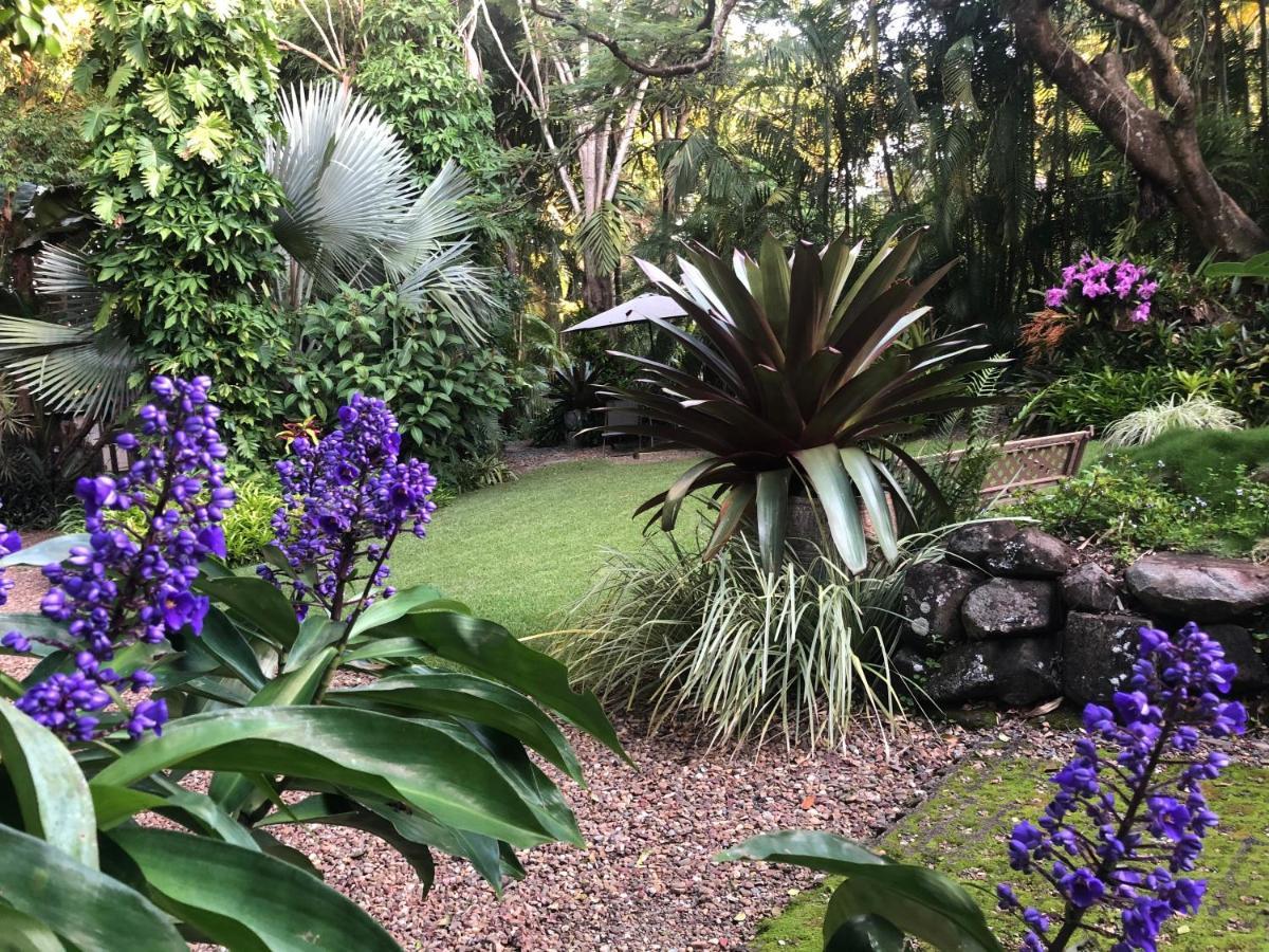 Eden Rest Bed & Breakfast Cooroy Dış mekan fotoğraf