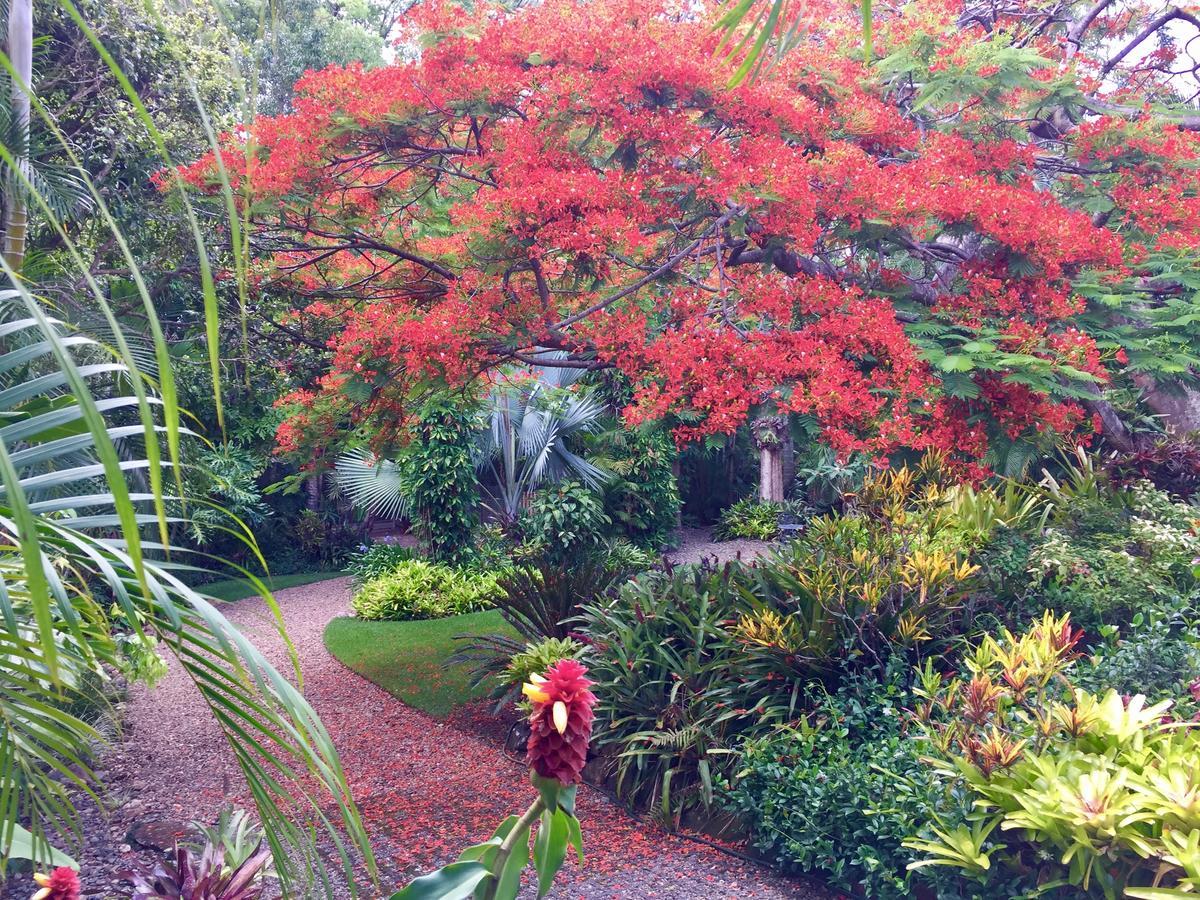 Eden Rest Bed & Breakfast Cooroy Dış mekan fotoğraf